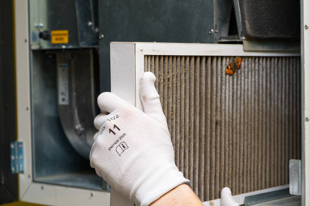 Best Local Air Duct Cleaning Services  in Lake Holm, WA